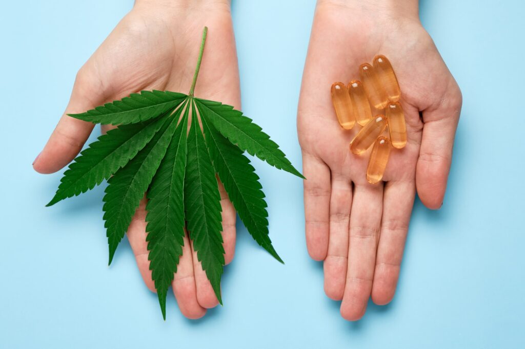 CBD olie eller CBD kapsler, hvad er bedst?