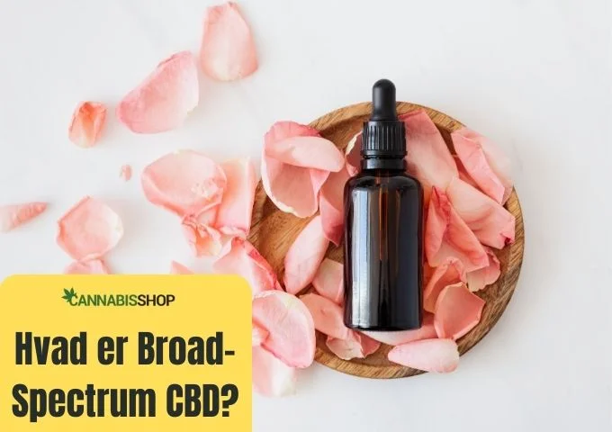 Hvad er Broad-Spectrum CBD