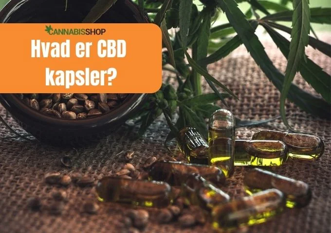 Hvad er CBD kapsler