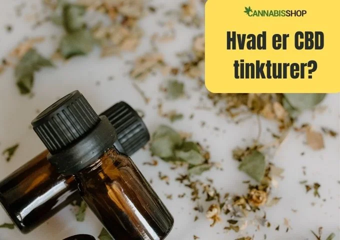 Hvad er CBD tinkturer