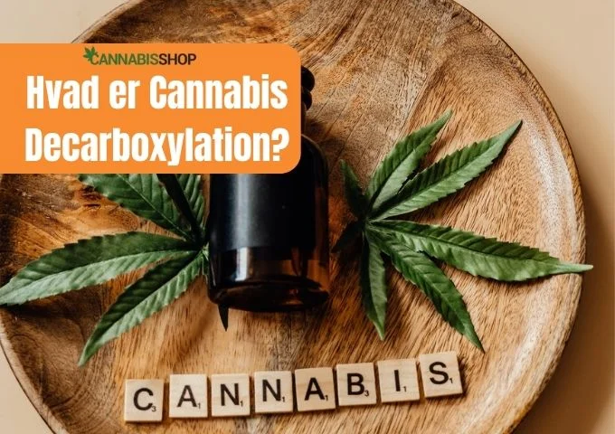 Hvad er Cannabis Decarboxylation