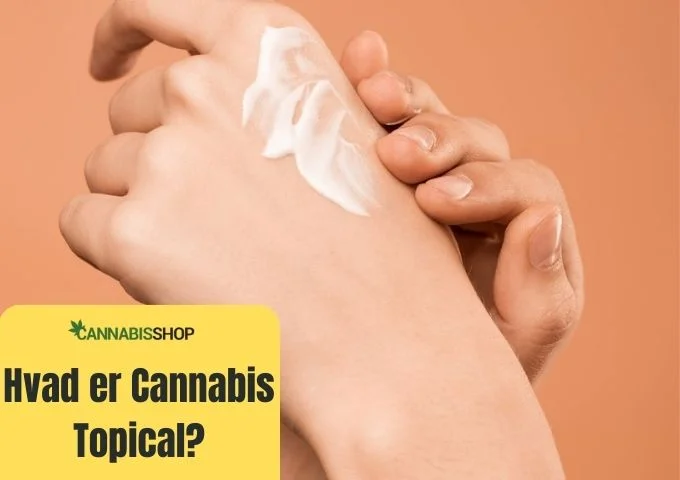 Hvad er Cannabis Topical