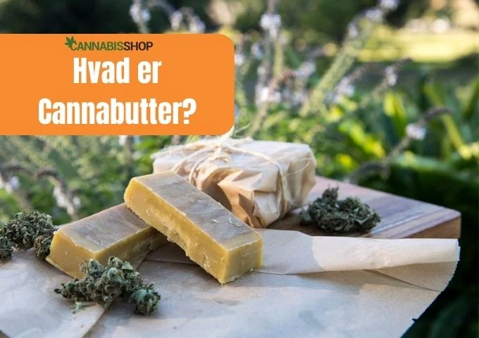 Hvad er Cannabutter