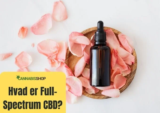 Hvad er Full-Spectrum CBD