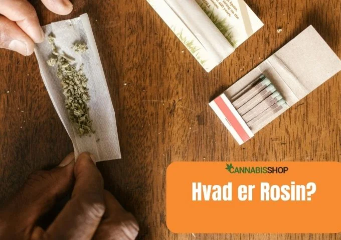 Hvad er Rosin