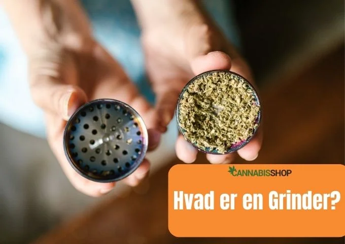 Hvad er en Grinder