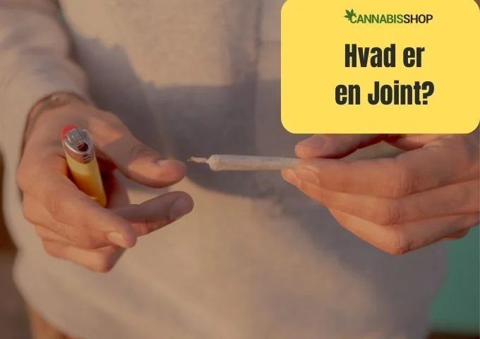 Hvad er en Joint